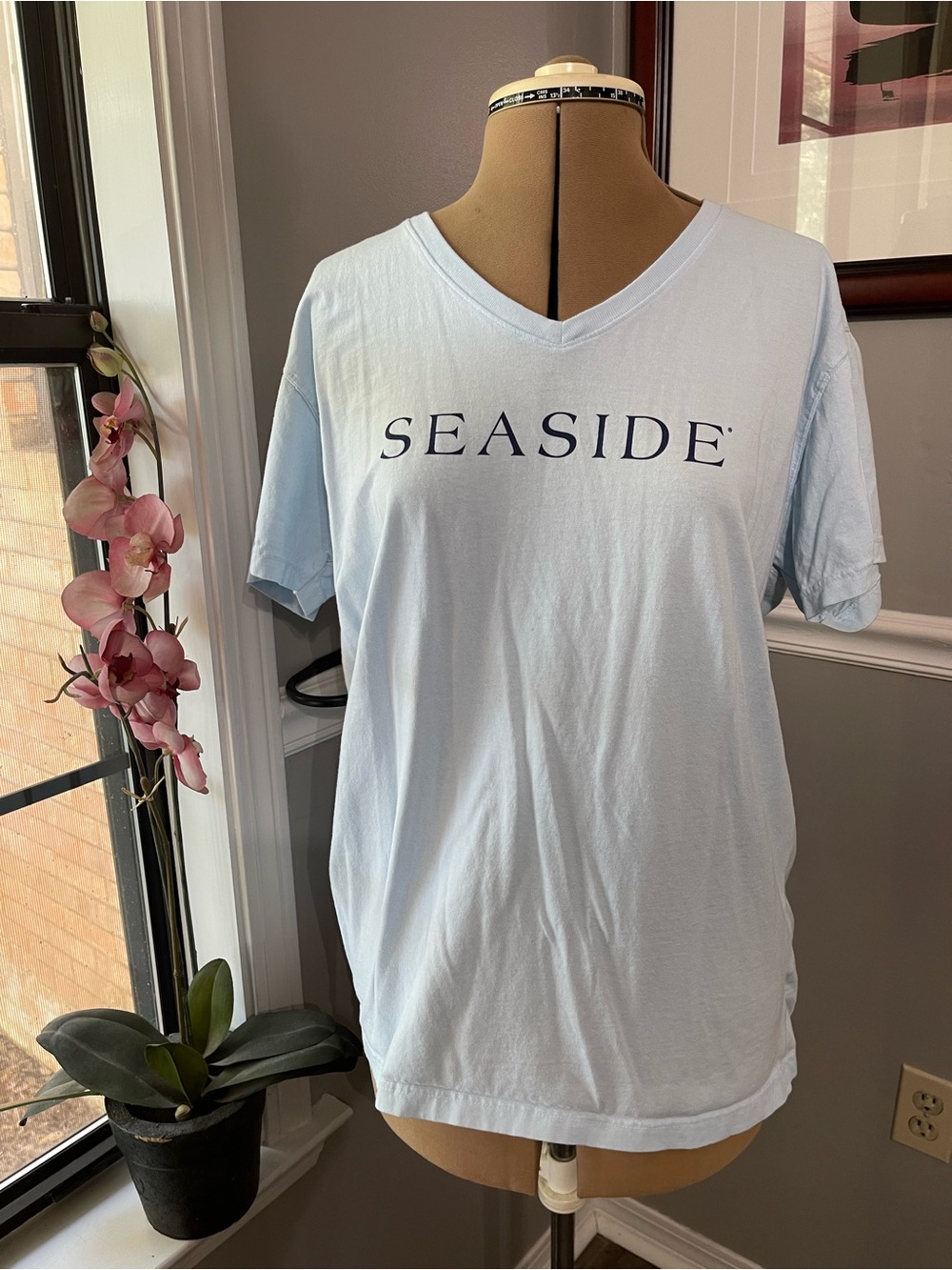 Seaside Women’s Light Blue V-Neck Tee. 30A life, IYKYK!